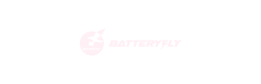 Batteryfly
